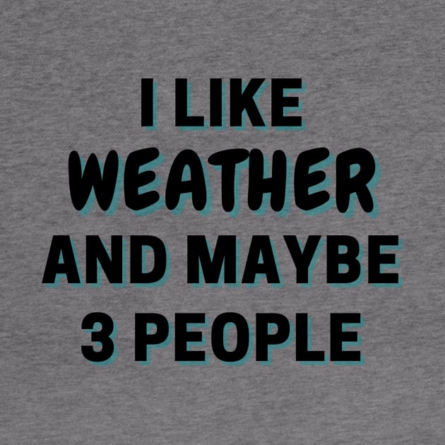 I Like Weather And Maybe 3 People by Word Minimalism
